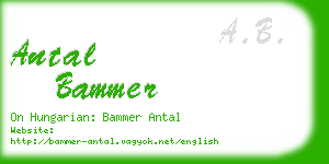 antal bammer business card